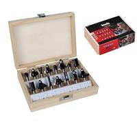 SET FRESE PER FRESATRICE - ALBERO DA 8MM - 15 PEZZI - KWB K49757291