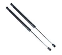 EINPARTS EP9906GS Ammortizzatore pneumatico, Lunotto posteriore