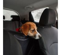 EINPARTS EPACC041 Coprisedile auto per cani