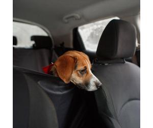 EINPARTS EPACC041 Coprisedile auto per cani