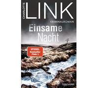 Einsame Nacht: Kriminalroman: 4