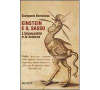 Einstein e il sasso. L'impossibile e la scienza