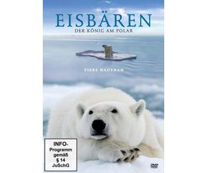 Eisbären - Der König am Polar - Tiere hautnah