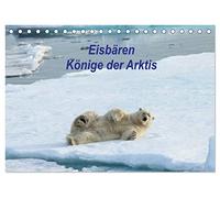 Eisbären - Könige der Arktis (Tischkalender 2026 DIN A5 quer), CALVENDO Monatskalender: Einblicke ins tägliche Leben und Überleben von Eisbären in der Arktis.