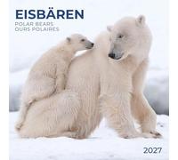 Eisbären / Polar Bears 2027: Kalender 2027