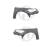 EISENFELS DIEDERICHS Parafango Sinistro Destro Anteriore per BMW X6 E71 E72