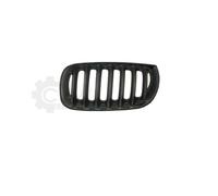 EISENFELS Griglia Paraurti Anteriore Compatibile Per BMW X3 E83