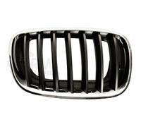 EISENFELS Griglia Paraurti Cromata Nera Per BMW X5 E70