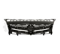 EISENFELS Griglia Radiatore Grigio Per Opel Astra J P10
