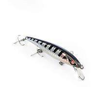 EJA 100 - Esca Artificiale per Spinning, Jerk Minnow 100 mm 10 g - Slow Floating, Controllo Totale, Per Spigole e Predatori Acqua Dolce & Salata (BAR)