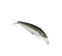EJA 115 - Esca Artificiale per la Pesca a Spinning, Jerk Minnow 115 mm 16 g - Slow Floating, Nuoto Naturale, Valido per un gran numero di Predatori Marini e d’Acqua Dolce (ACC)