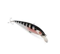 EJA 115 - Esca Artificiale per la Pesca a Spinning, Jerk Minnow 115 mm 16 g - Slow Floating, Nuoto Naturale, Valido per un gran numero di Predatori Marini e d’Acqua Dolce (BAR)