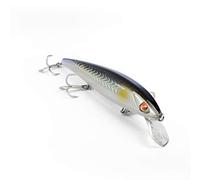 EJA 130 - Esca Artificiale per la Pesca a Spinning, Jerk Minnow 130 mm 23 g - Slow Floating, Nuoto Poliedrico, Valido per un gran numero di Predatori Marini e d’Acqua Dolce (MUL)