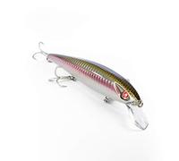 EJA 130 - Esca Artificiale per la Pesca a Spinning, Jerk Minnow 130 mm 23 g - Slow Floating, Nuoto Poliedrico, Valido per un gran numero di Predatori Marini e d’Acqua Dolce (MR-IRI)