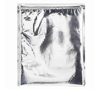 Ejoyous 5 Pezzi di Borsa Termica Isolante in Alluminio Borsa di Raffreddamento BICE -Keep Borse con Cerniera per Picnic da Viaggio in Campeggio (30 * 35 cm)