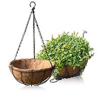 Ejoyous Accessori per Fiori di Cocco Pende Sospeso da 20-25 Cm Fibre di Cocco + Sospensione di Ferro per le Piante da Giardino del Balcone Decorazione da Parete del Paradice