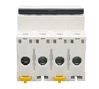 Ejoyous Interruttore Automatico Magnetotermico 400V, MCB 400 Volt, 2 Poli, Montaggio su Guida DIN, Bassa Tensione, Protezione da Cortocircuito con Rapida Estinzione Dell', per Protezione (10A)