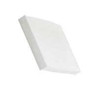 EJUOYO Filtri Aria Motore Auto Filtro Aria abitacolo per Auto Adatto per Hyundai Elantra L4 2.0L Coupe GT Filtri Automatici CF10728 042-2093 R90207 CF1200 Filtro Aria(1pc)