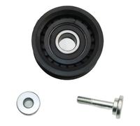 EJUOYO Regolatore Tendicatena 6652003170 Puleggia tenditrice Adatta per Audi A4, Adatta per SsangYong Actyon, Korando, Kyron 059903341A 059903341E Tendicatena Distribuzione