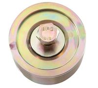 EJUOYO Regolatore Tendicatena Puleggia tenditrice scanalata per Auto, Parti di Ricambio Adatte per Thermo King SLX, SLXE, SLXI, 77-3217 773187 Tendicatena Distribuzione