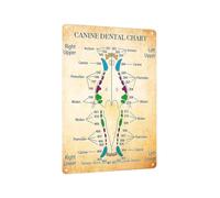 EKFBQBGW Canine Chart Metal Tin Sign Veterinary Anatomy Dog Teeth Diagram Educational Office Wall-Art for Clinic Home Decor 8 X 12