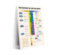 EKFBQBGW Evolution Timeline Wall Art - The History of Life on Earth Canvas Poster, Scientific Decor for Living Room, Classroom or Library Unframed,08x12inch(20x30cm)