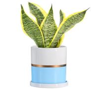 Ekirlin - Vaso da fiori in ceramica, per interni, 10 cm, colore: Blu con foro di drenaggio e piattino