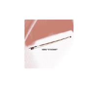 ARCHETTO VIOLINO 3/4