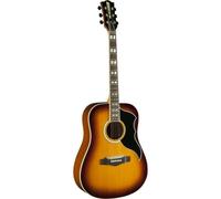 Eko Ranger VI VR EQ Honey Burst