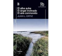 El Alba Sube El Angel Inclinado El Aire Conmovido