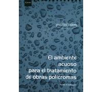 El Ambiente Acuoso Para El Tratamiento De Obras Polícromas