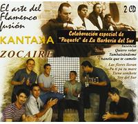 El Arte Del Flamenco Fusion
