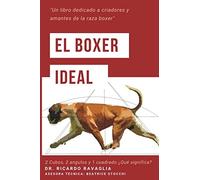 El Boxer Ideal: Dos cubos, dos ángulos y un cuadrado