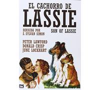 El Cachorro De Lassie