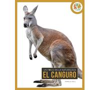 El canguro