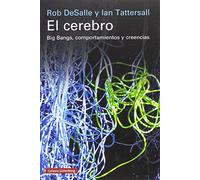 El cerebro: Big Bangs, comportamientos y creencias