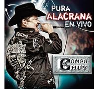 El Compa Chuy - Pura Alacrana En Vivo