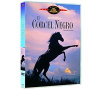 El Corcel Negro