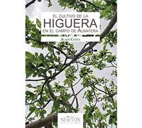 El cultivo de la higuera en el campo de Albatera