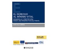 El derecho al mínimo vital: desarrollo y protección desde una perspectiva multinivel