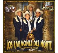 El Gatito de Peluche