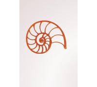 El movimiento de la espiral