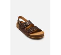 El Naturalista - HORIZON N6001 Marrone - Sandali e scarpe aperte 42 Marrone