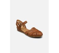 Stella N5207 by El Naturalista 36 Marrone