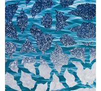 El Nino & The Southern Oscillation El Nino & the Southern Oscillation (Vinyl LP)