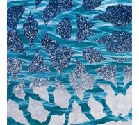 El Nino & The Southern Oscillation El Nino & the Southern Oscillation (Vinyl LP)