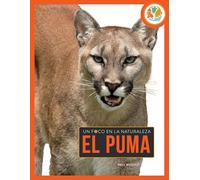 El puma/ Cougar