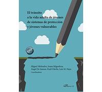 EL TRANSITO A LA VIDA ADULTA DE JOVENES DE SISTEMAS DE PROTE