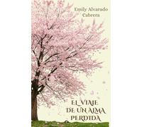 El Viaje de un Alma Perdida