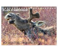 ÉLAN D'AMÉRIQUE - ROI DES FORÊTS DU NORD (Calendrier de bureau 2027 DIN A5 vertical), CALVENDO calendrier mensuel: Comme un roi dans son royaume, ... et aucun autre animal ne viendra le déranger.